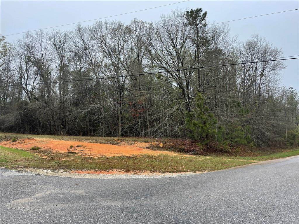 0 Lee Rd 2058 - Photo 1