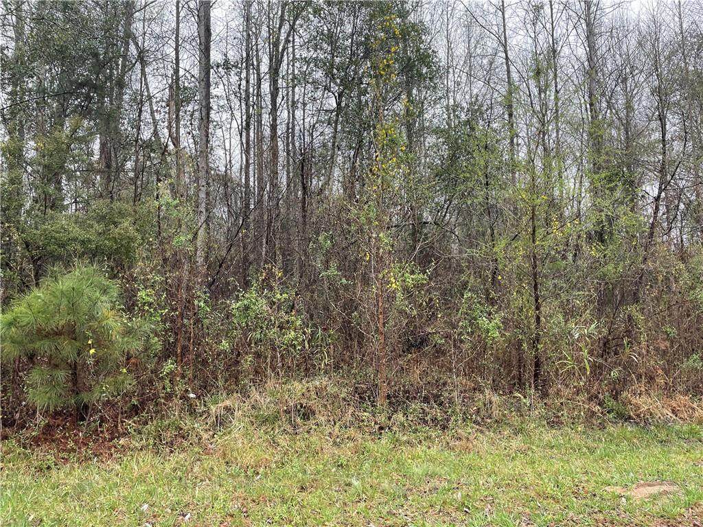 0 Lee Rd 2058 - Photo 1