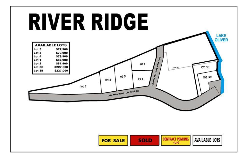 0 Lee Rd 315 - Photo 1