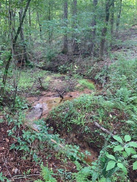 0 Lee Rd 2190 - Photo 1