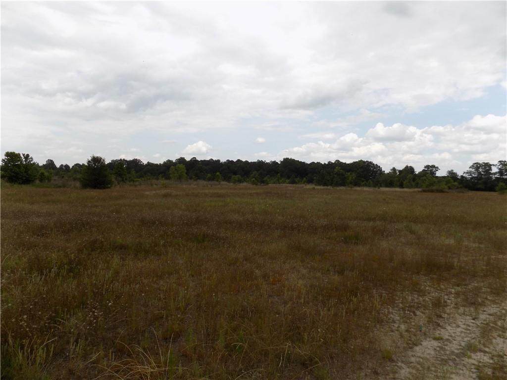 0 Mclendon Road - Photo 1