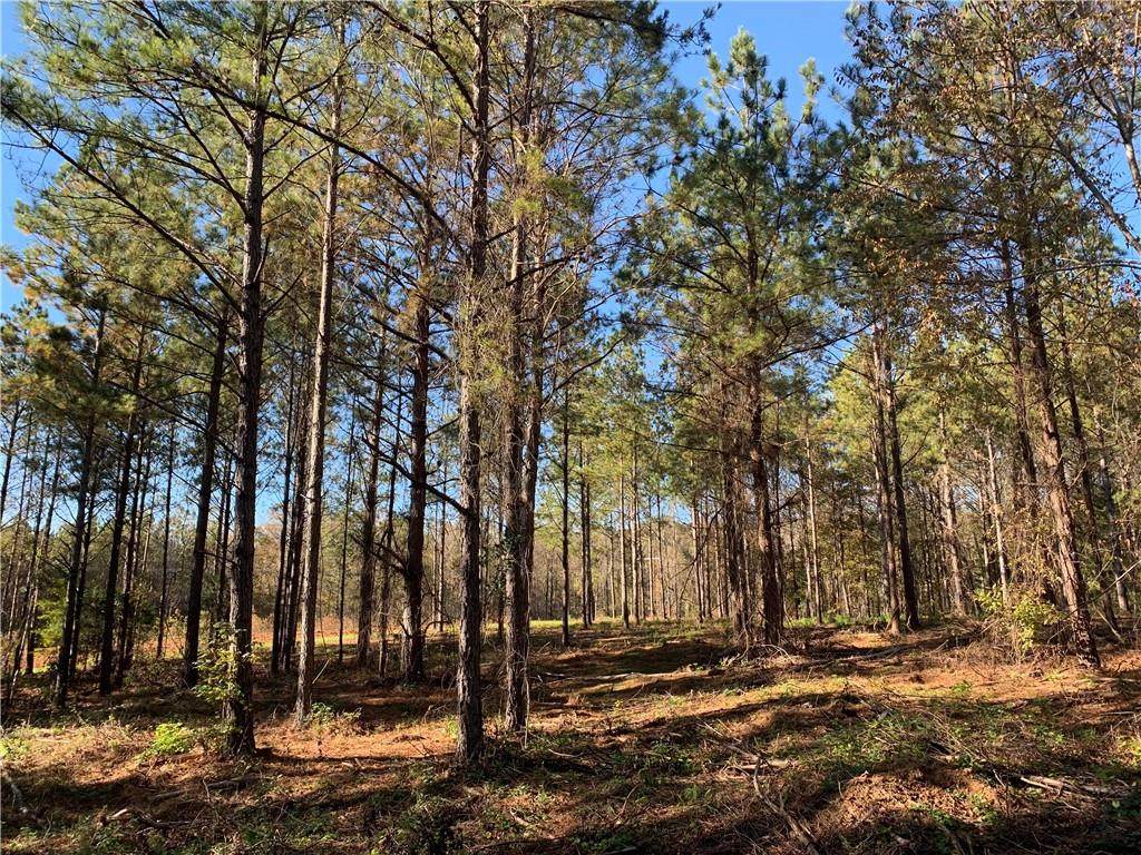 0 Oswichee Road - Photo 1