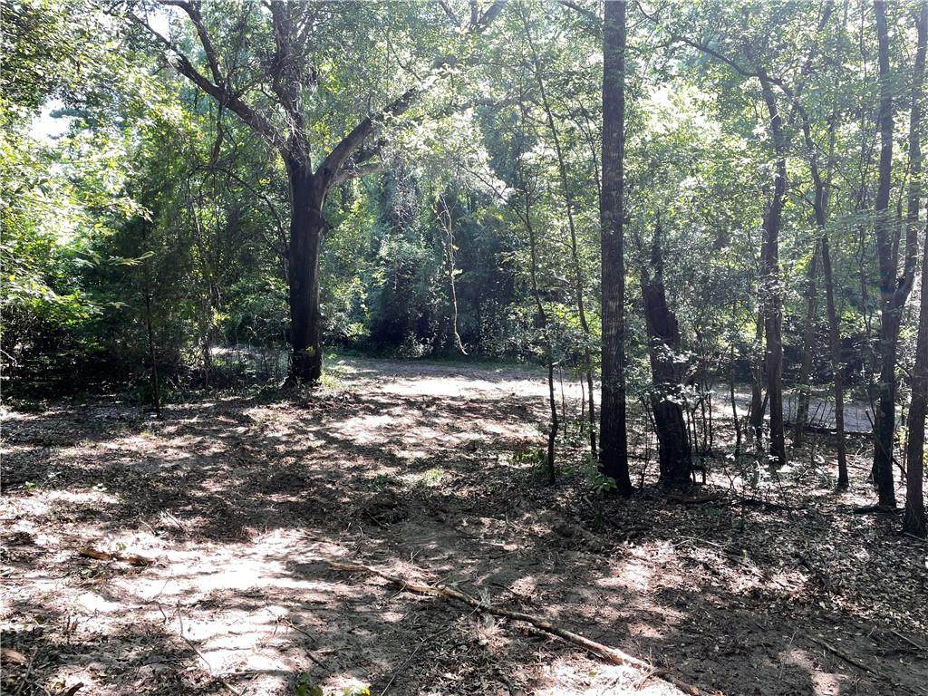 0 Auburn Road - Photo 1