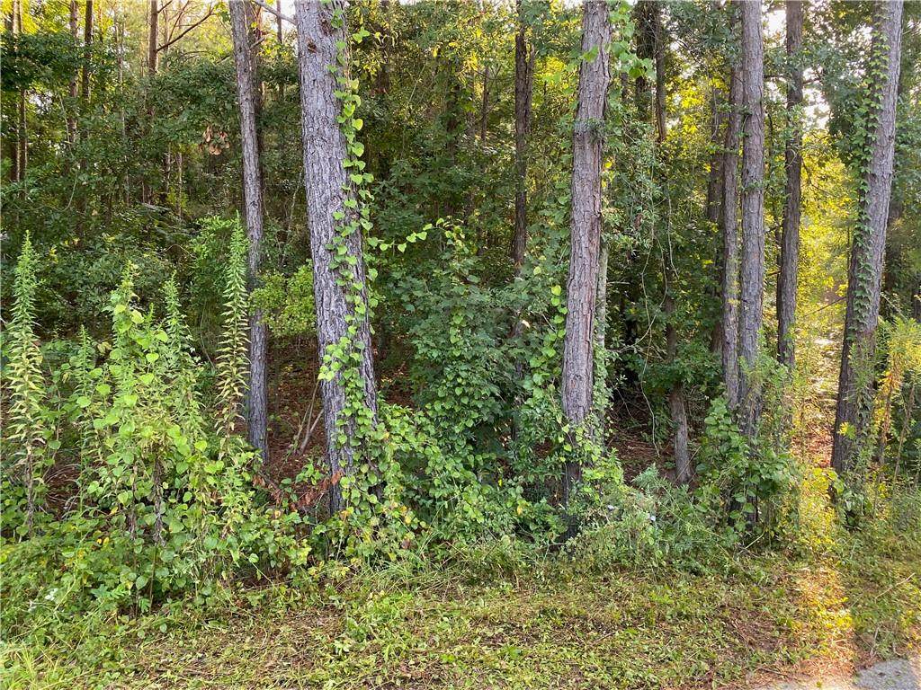 0 Lee Rd 423 - Photo 1