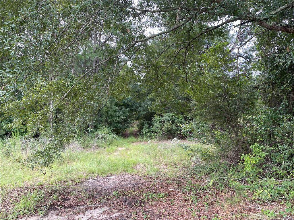 0 Maringo Creek Road - Photo 1