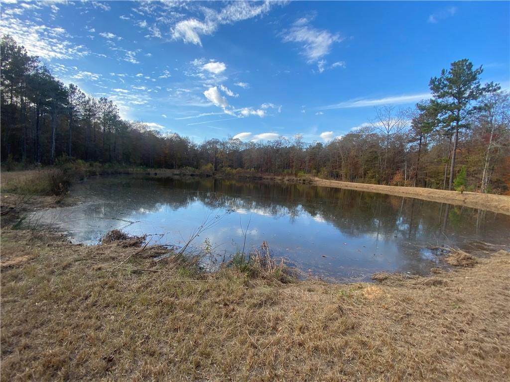 0 Lee Rd 175 - Photo 1