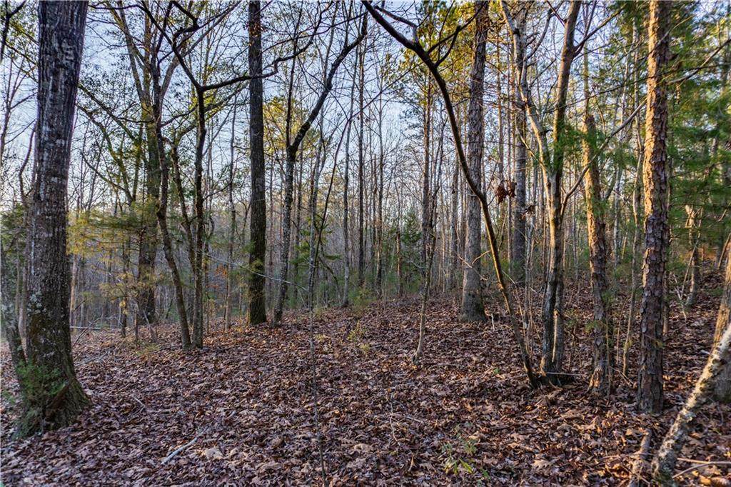 304 Lee Rd 930 - Photo 1
