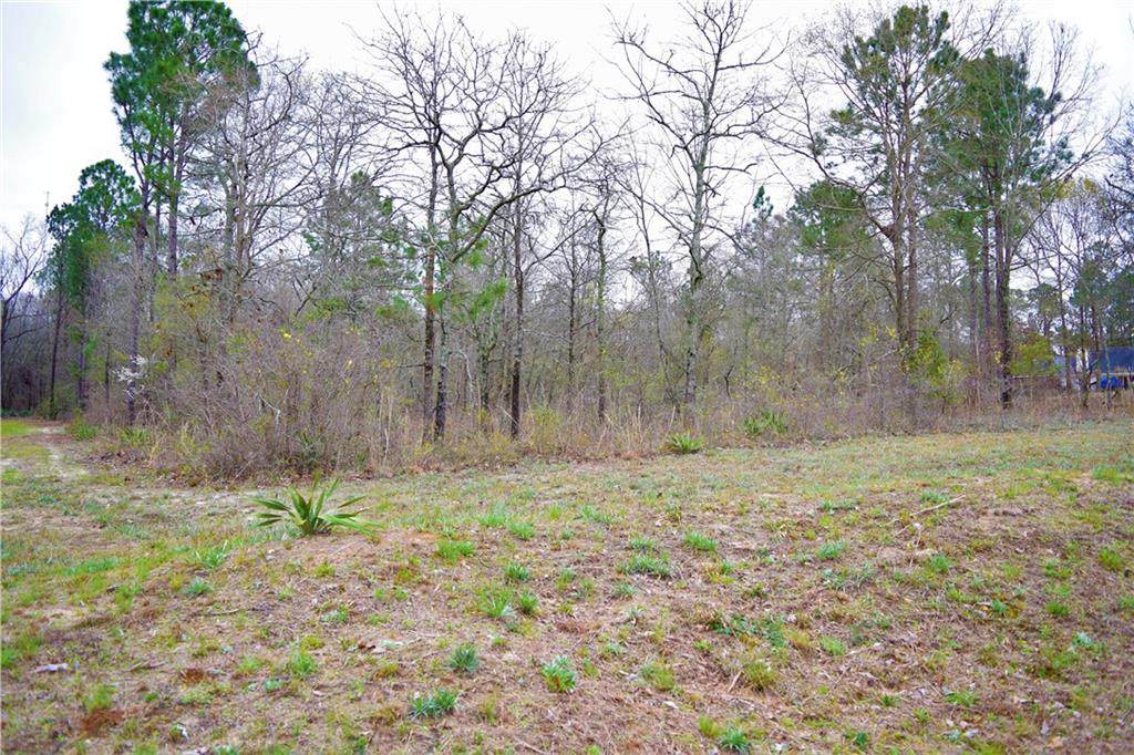 195 Hyram Road - Photo 1