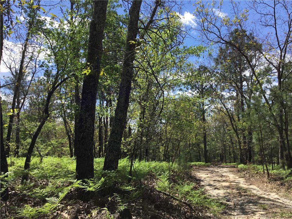 5583 Sandfort Road - Photo 1