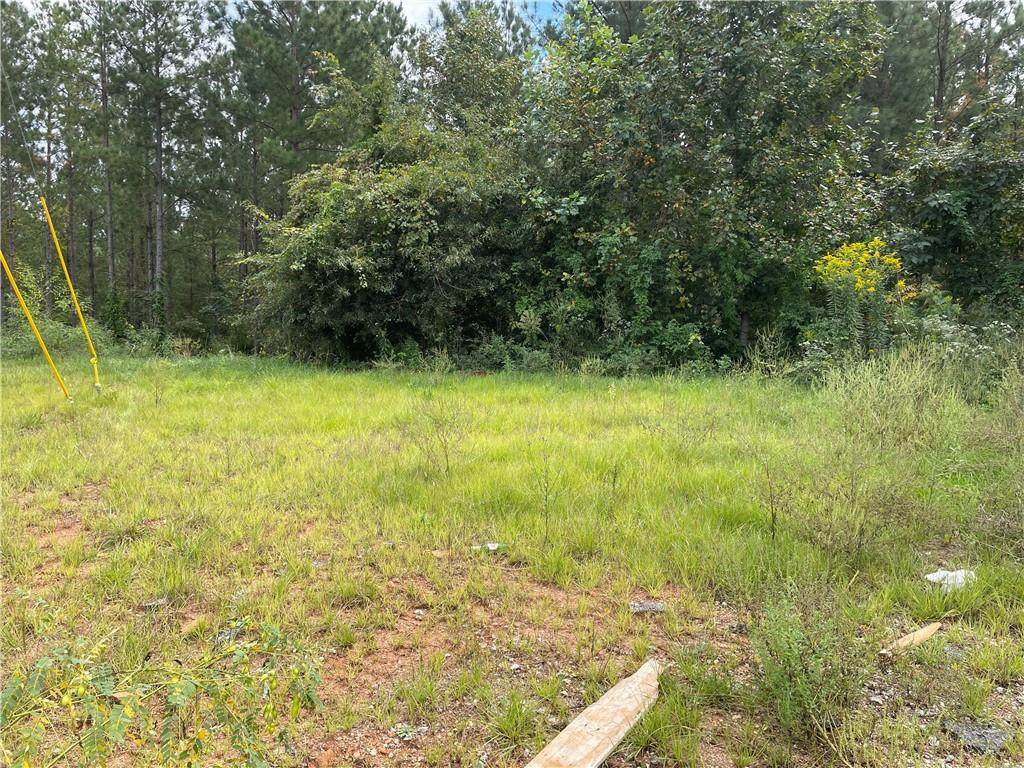 LOT 13 Lee Rd 2192 - Photo 1