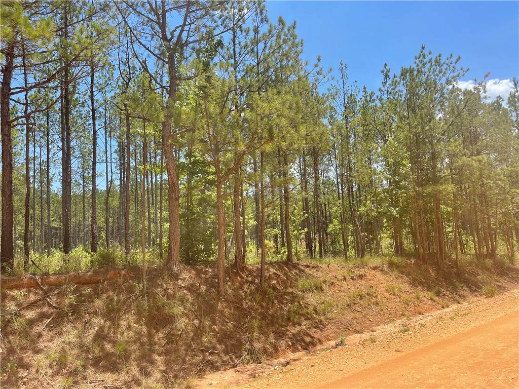 3554 Lee Rd 254 Road - Photo 1