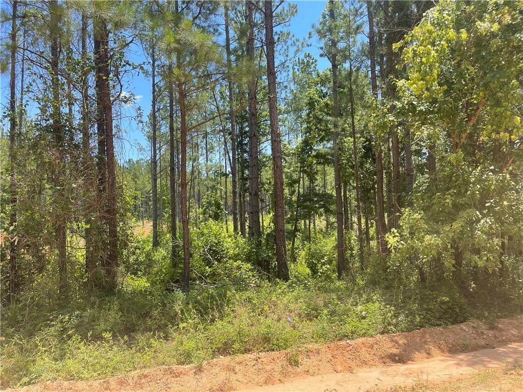 3784 Lee Rd 254 Road - Photo 1