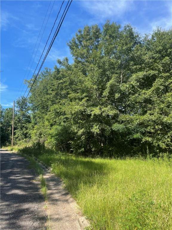 1002 Knowles Road - Photo 1