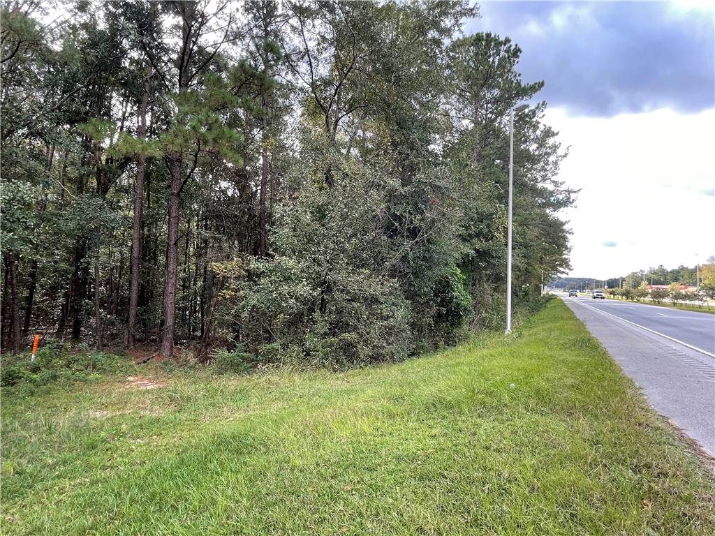 0 Highway 431 - Photo 1
