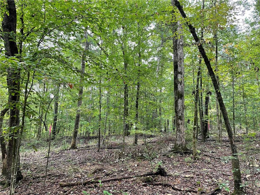0 Lee Rd 462 - Photo 1