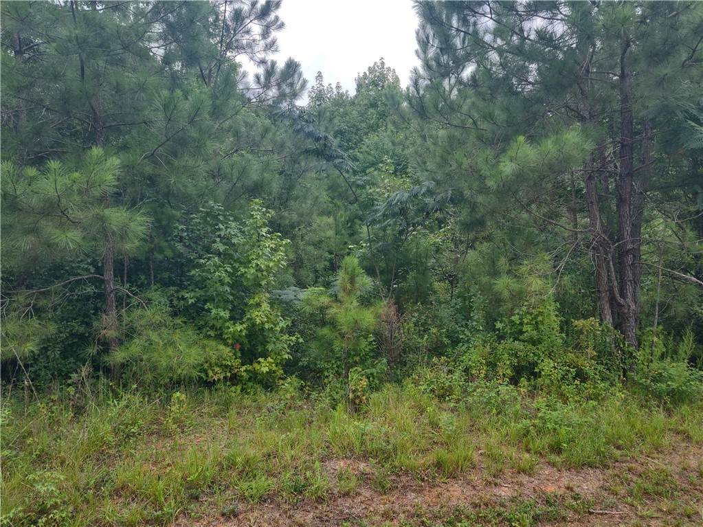 0 Pine Ridge Road - Photo 1