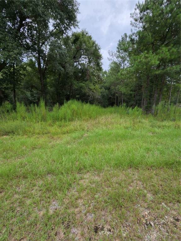 10 Ihagee Creek Circle - Photo 1