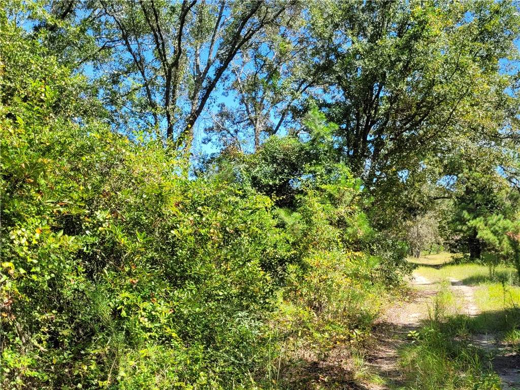48 Woody Acres Drive - Photo 1