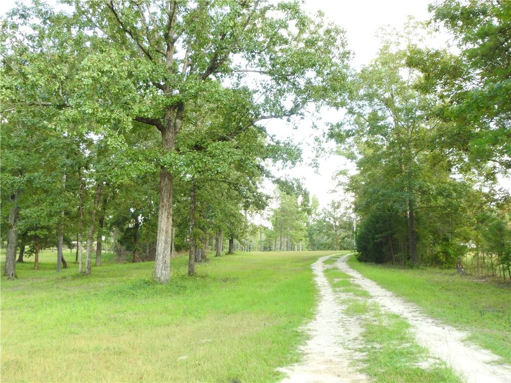467 Lee Rd 600 - Photo 1