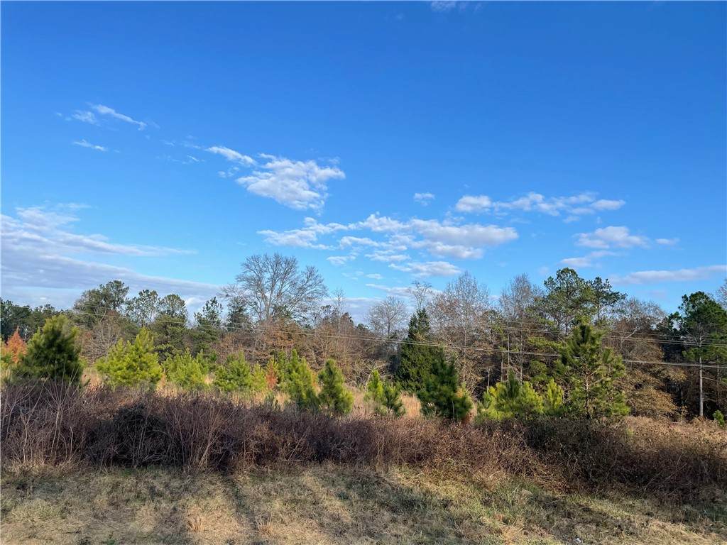 0 Hwy 169 - Photo 1