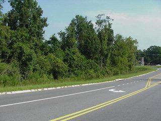 6 Pierce Road - Photo 1
