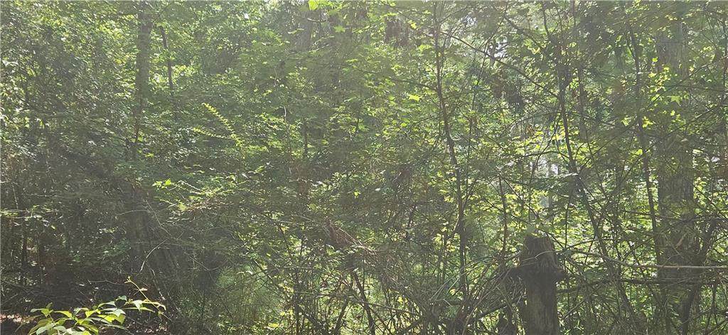 29 Azalea Loop - Photo 1