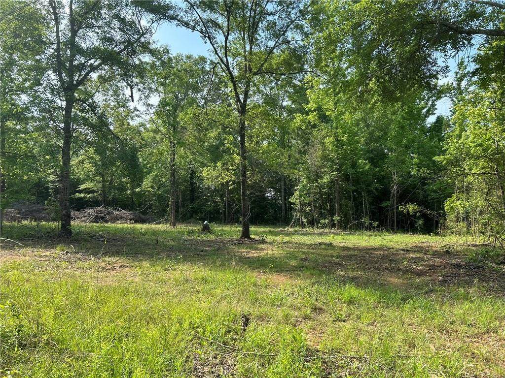 0 0 Lee Road 348 - Photo 1