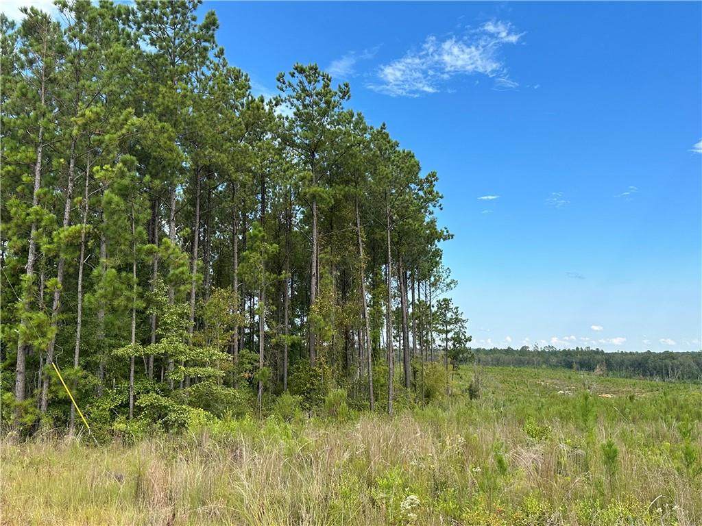 Lot 1 Ridge Road - Photo 1