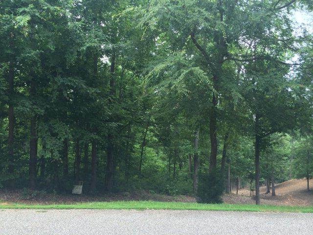 1302 Grist Mill Drive - Photo 1