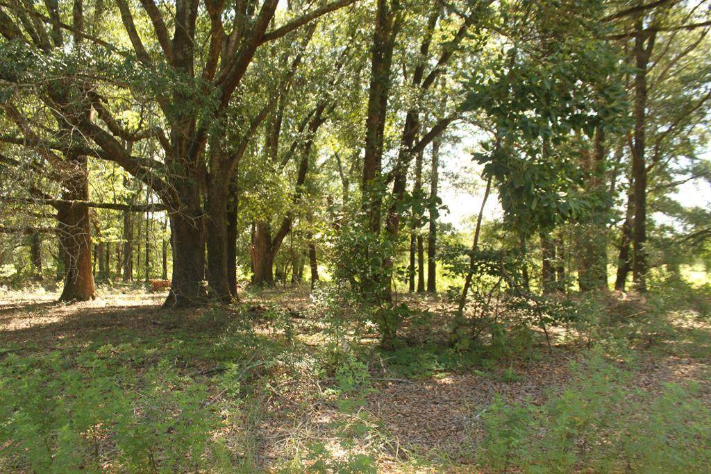 LOT 7 Lakeview Lane - Photo 1