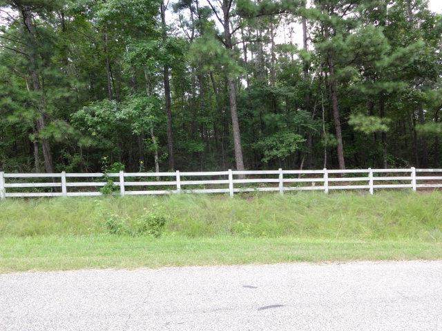 0 Lee Rd 315 - Photo 1