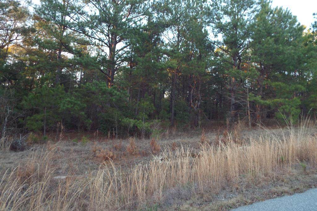 26 Ihagee Creek Circle - Photo 1