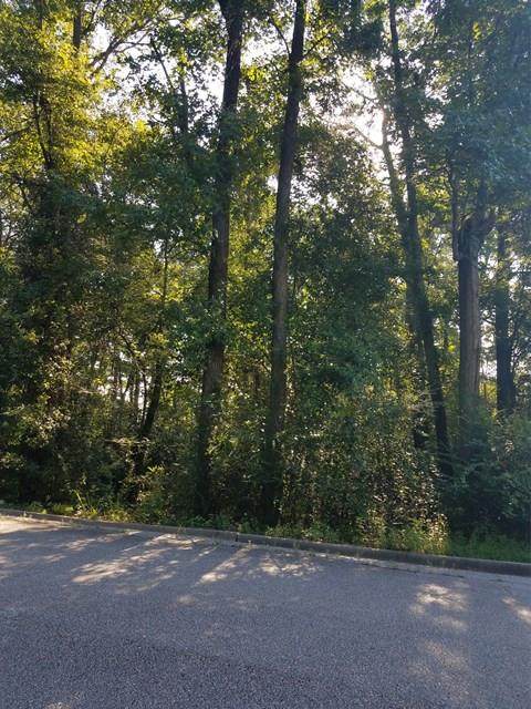 0 10th Avenue - Photo 1