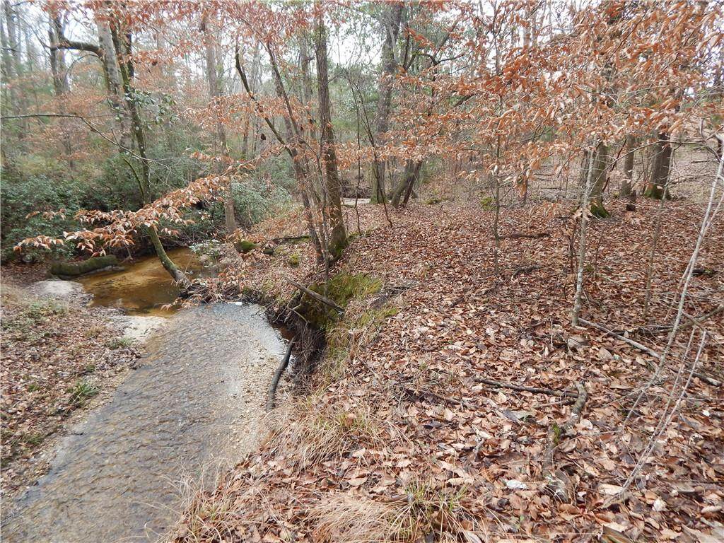 6 Ihagee Creek Circle - Photo 1