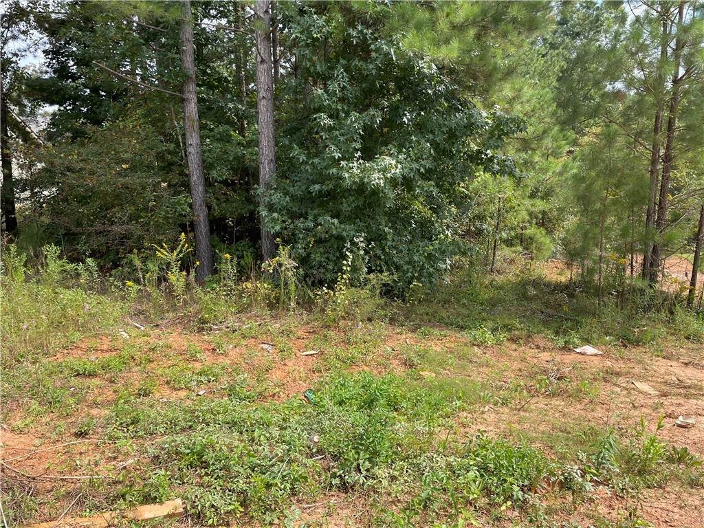 LOT A26 Lee Rd 2192 - Photo 1