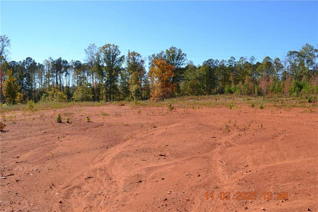 2212 Lee Road 340 - Photo 1