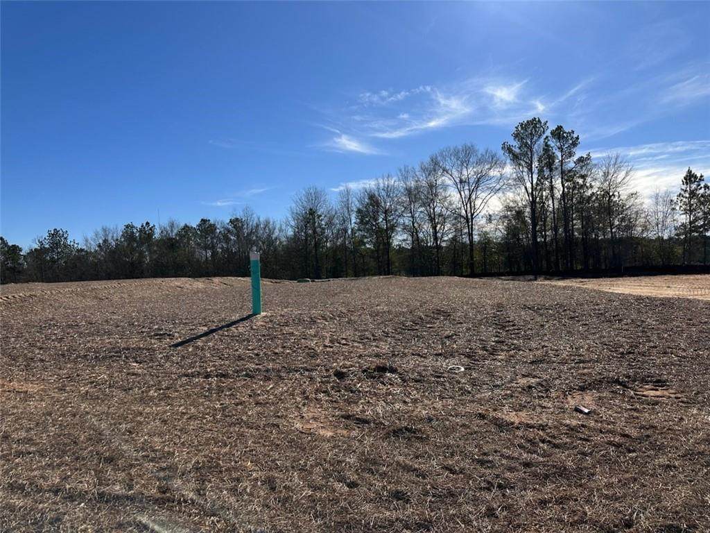 6311 Morning Dew Drive - Photo 1