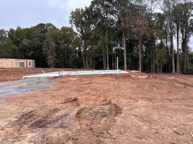 5621 Hodges Drive - Photo 1