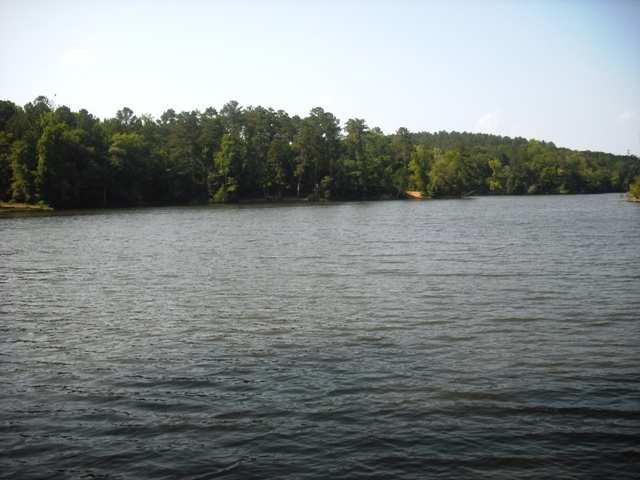 356 General Sumter Drive - Photo 1