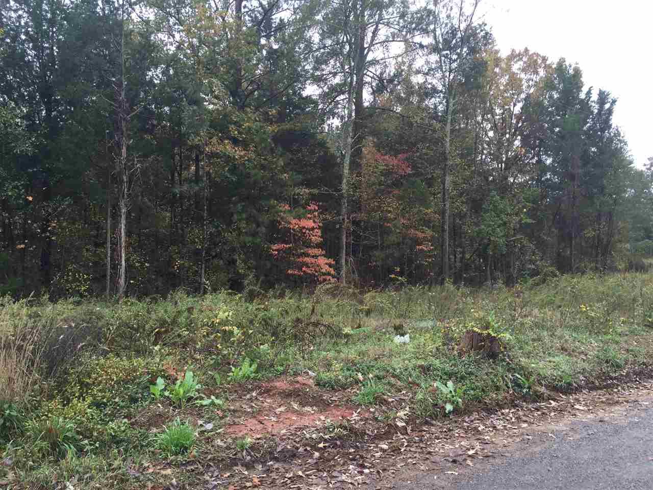 Lot 30 Appaloosa Ridge Rd - Photo 1