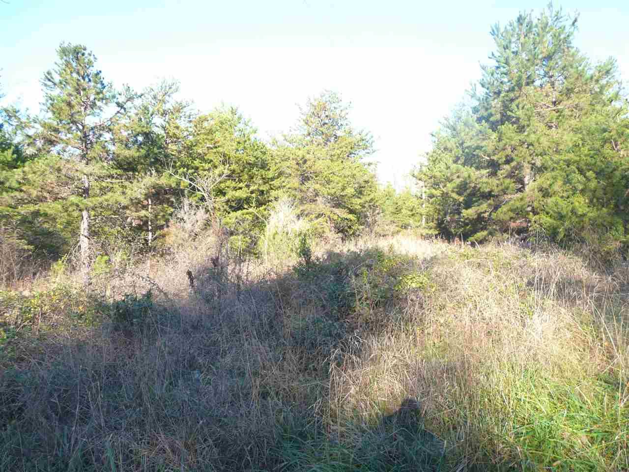 1111 Beersheba - Photo 1