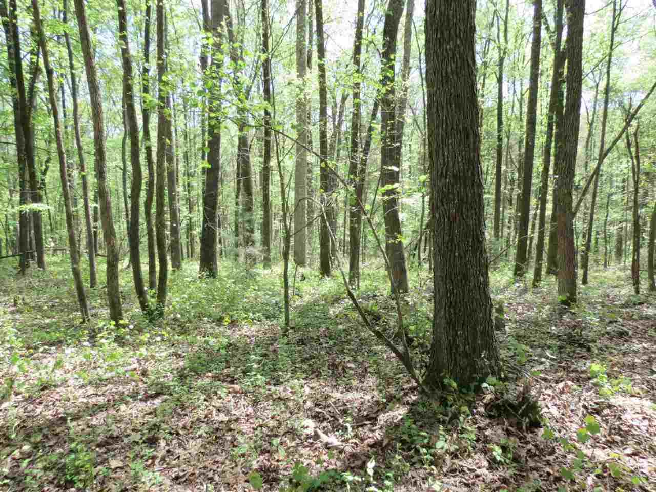 19 AC Gordon - Photo 1