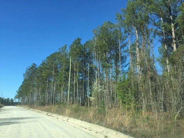 962 Buffalo Creek Road - Photo 1
