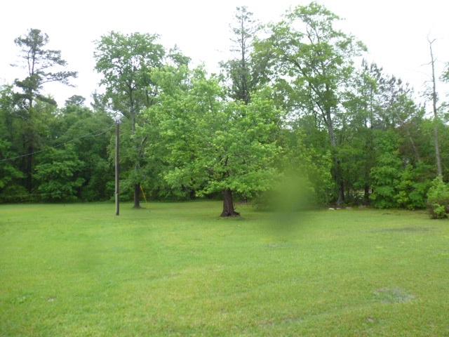2677 Mcilwain Road - Photo 1