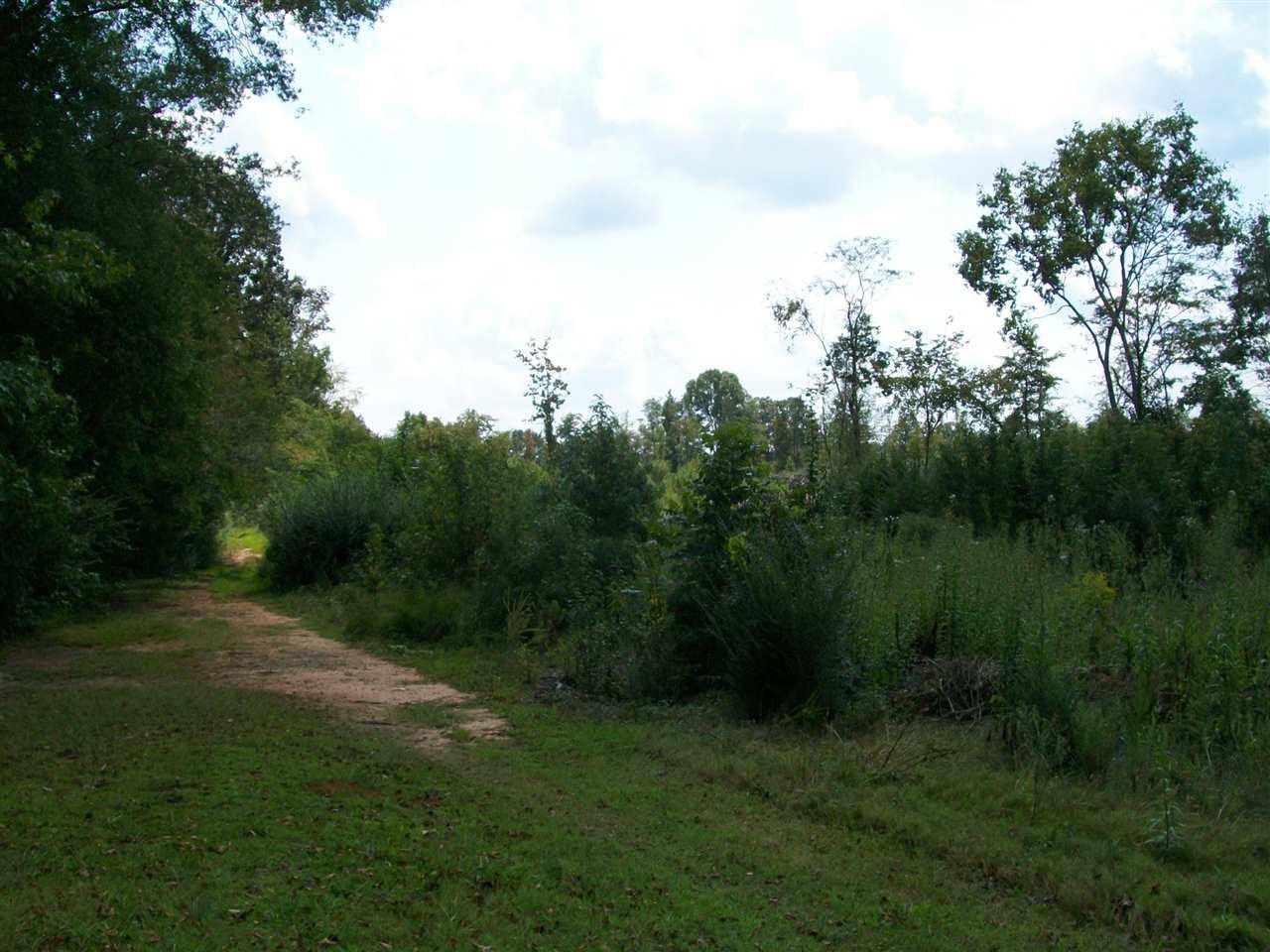 tr 4 & 3 Colonial Acres Rd - Photo 1