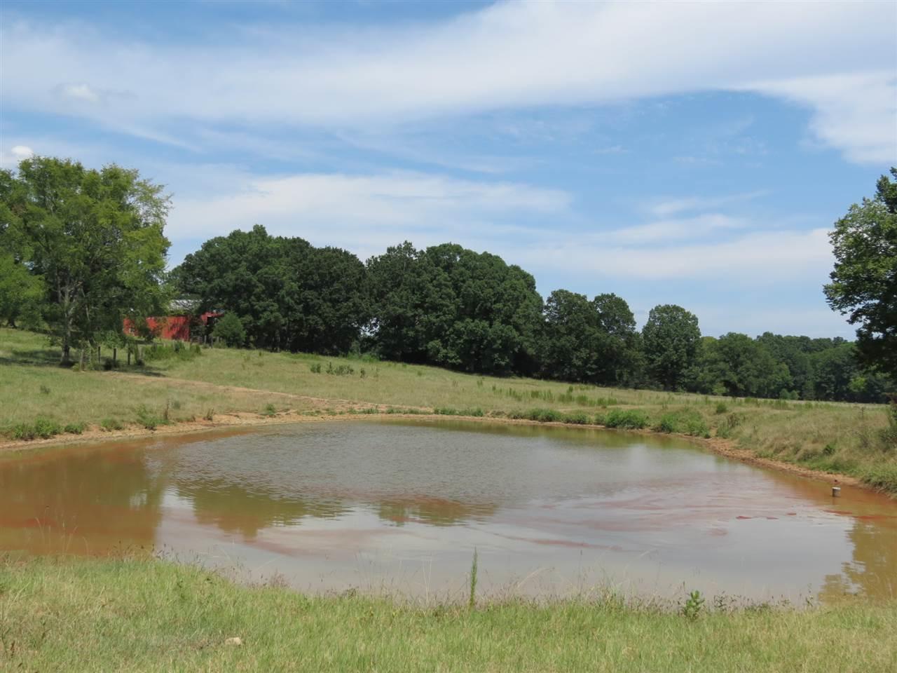 25 AC Percival Rd - Photo 1