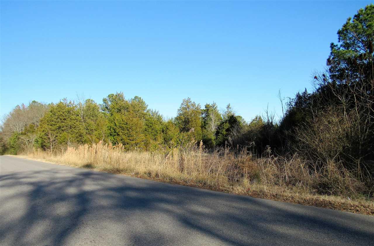 00 Sumter Street Ext - Photo 1