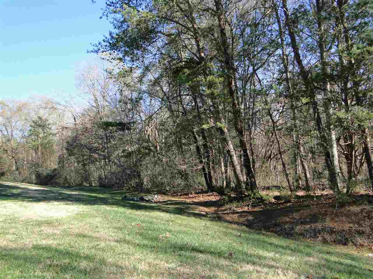 10525 Wildlife Road #37 - Photo 1