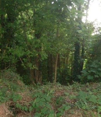 10 AC Sandifer Road - Photo 1
