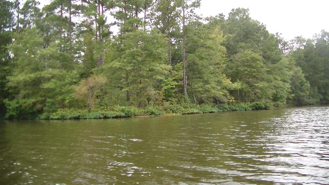37.68 AC Tribal Road - Photo 1